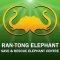 Half DAY MORNING Ran Tong Elephant Elephant Care