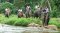 1 Day Whitewater Rafting + Elephant Trekking + ATV