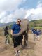 เลี้ยงช้างครึ่งวัน Living Green Elephant Sanctuary