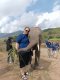 半天大象旅游 Half Day Living Green Elephant Sanctuary