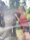 เลี้ยงช้างเต็มวัน Secret Elephant Sanctuary