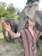 大象营一日游  Secret Elephant Sanctuary