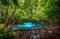 Hot Spring Waterfall & Emerald Pool