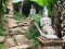 One Day Doi Suthep Temple & Monthathan Waterfall Trekking