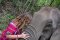 照顾大象一日游（没有骑大象）Elephant Jungle Paradise Park