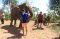 กิจกรรมเลี้ยงช้างครึ่งวันบ่าย ที่ Elephant Village Sanctuary