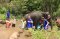 Half Day Afternoon Elephant Village Sanctuary