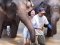 Half day Morning Elephant Sanctuary Care Park (Waterfall & Rafting)