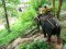 Elephant Trekking & Waterfall