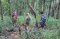 1 Day Doi Inthanon Hilltribe Trail - Ethnic Hilltribe Eco Trails