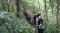 One Day Hiking Trail – Doi Inthanon