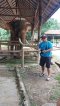 Half Day Long Neck Village + Visit Elephant Camp