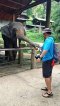 Half Day Long Neck Village + Visit Elephant Camp