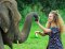 Kanta Elephant Sanctuary（早上半天）