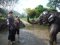 One Day Kanta Elephant Sanctuary