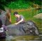 Kanta Elephant Sanctuary（早上半天）