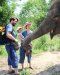 ดูแลช้างครึ่งวัน ตอนเช้า Mae Rim Elephant Sanctuary