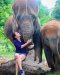 Maerim Elephant Sanctuary（早上半天）