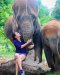 Maerim Elephant Sanctuary（下午半天）