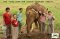 ดูแลช้างครึ่งวัน (บ่าย)  Ran-Tong Save & Rescue Elephant Centre