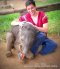 ดูแลช้างครึ่งวัน (บ่าย)  Ran-Tong Save & Rescue Elephant Centre