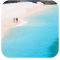 ONE DAY TRIP SIMILAN  ISLAND BY SPEEDBOAT (Only Phuket Transfer)