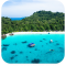 ONE DAY TRIP SIMILAN  ISLAND BY SPEEDBOAT (Only Phuket Transfer)