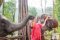 Chiang Mai Elephant Sanctuary（早上半日游）