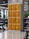 Smart ABS Plastic Locker เปิดด้วยระบบคีย์การ์ด