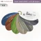 แผ่นตัวอย่างสี Embozz หนังเทียม PVC รหัส G24 ศรีสงวน 6 สี แบบ fan deck
