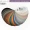 แผ่นตัวอย่างสี Embozz หนังเทียม PVC GM2 ศรีสงวน 21 สี แบบ fan deck
