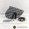 C​H​R​IS​T​IA​N​ D​IO​R Saddle​ Belt​ Pouch​