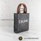 Celine MINI VERTICAL CABAS IN TRIOMPHE CANVAS AND CALFSKIN WITH CELINE PRINT