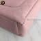 Chanel PST Caviar GHW Caviar