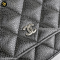 Chanel Woc Carvier SHW