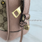 Gucci GG Canvas Bree Crossbody Bag