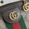 Gucci Ophidia GG Shoulder bag