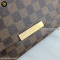 Louis Vuitton  Favorite