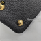 Louis Vuitton M59020 Capucines MM Bag Chip 22