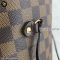 Louis Vuitton Neverfull Damier MM