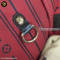 Louis Vuitton	Neverfull Damier  MM
