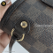 Louis Vuitton Neverfull pm