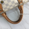 Louis Vuitton Speedy Azur 30 Canvas
