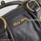 Miu Miu Bag 2 way