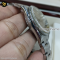 Rolex Air-King Automatic, Patina Dial Ref. 14010 Steel แบรนด์เนมมือสอง 