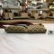 Gucci Belt Brown Logo Green red Strap