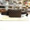 Used Like​New​ - Louis Vuitton Geronimos​ Damier​ ​Ebene​Canvas ปี​ 2012