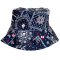 Misty Sailor