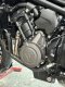 Triumph Trident660 สีดำ ปี2024