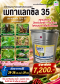 เมทาแลกซิล 35